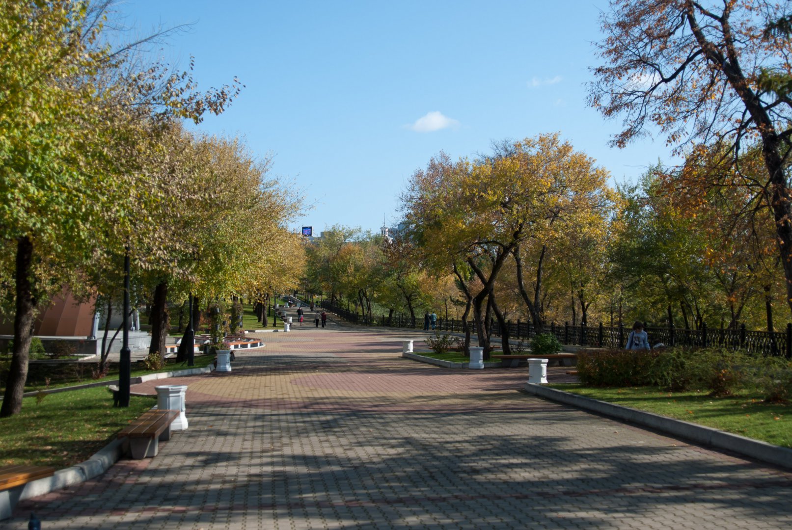 DSC_5292.jpg