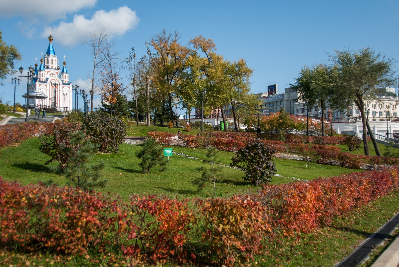 DSC_5446.jpg