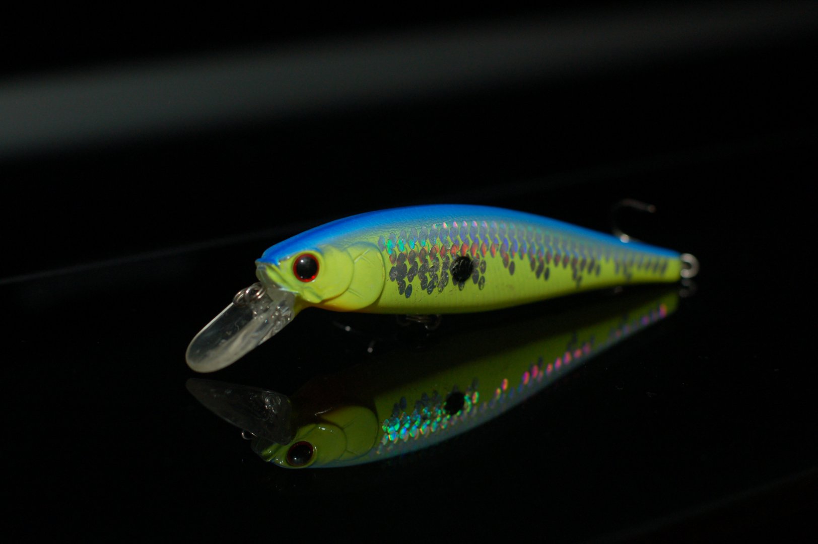 DSC_6020.JPG