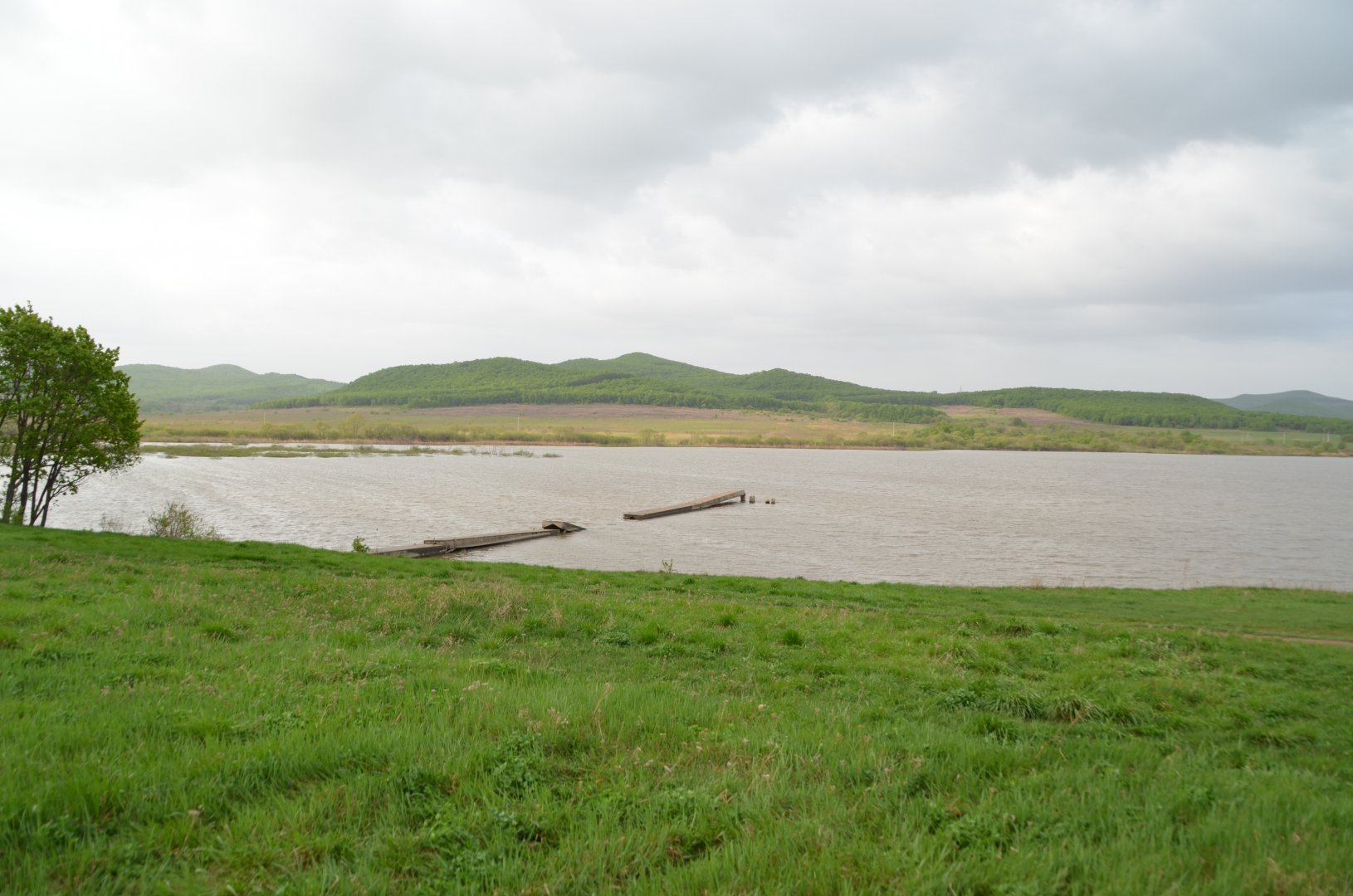 DSC_6965.JPG