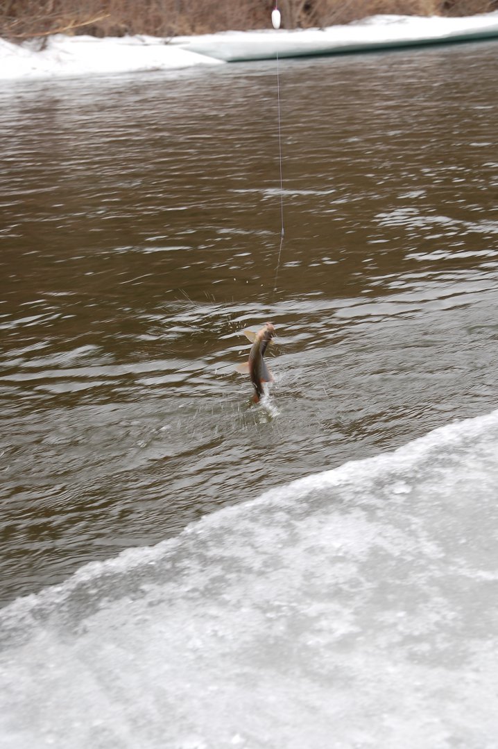 DSC_7413.JPG