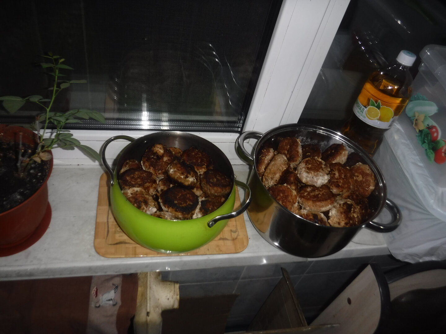DSCF0007.JPG