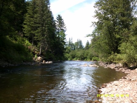 DSCF0010.JPG