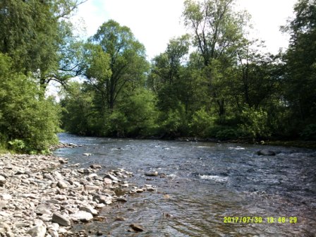 DSCF0011.JPG