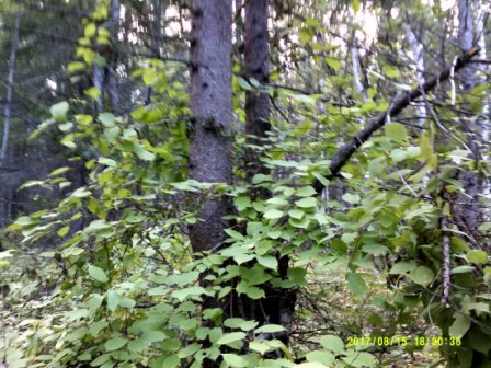 DSCF0023.JPG