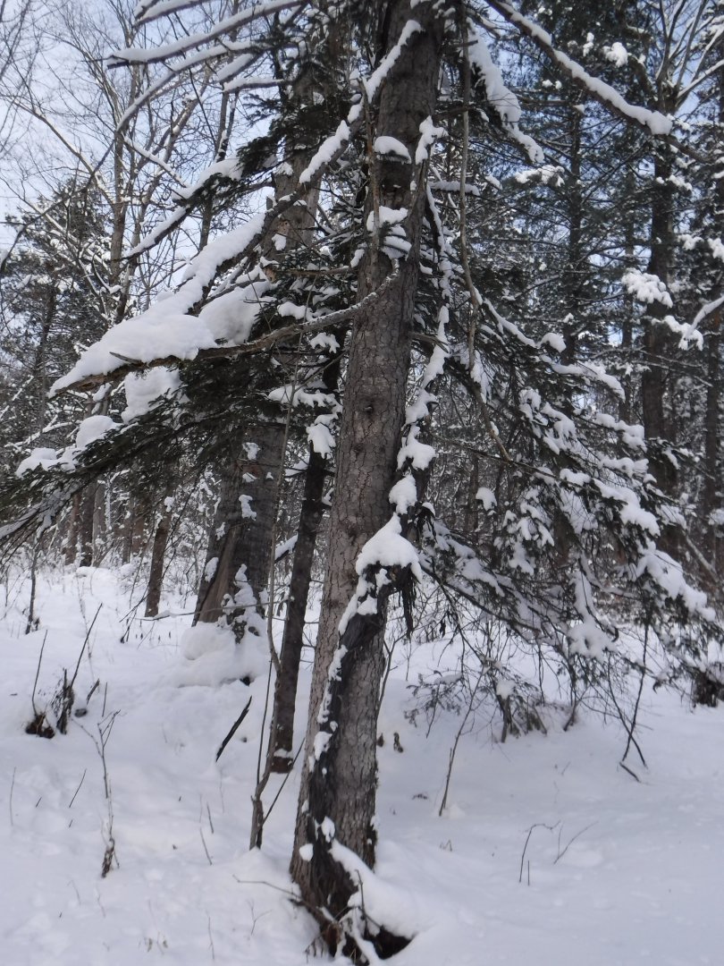 DSCF0026.JPG
