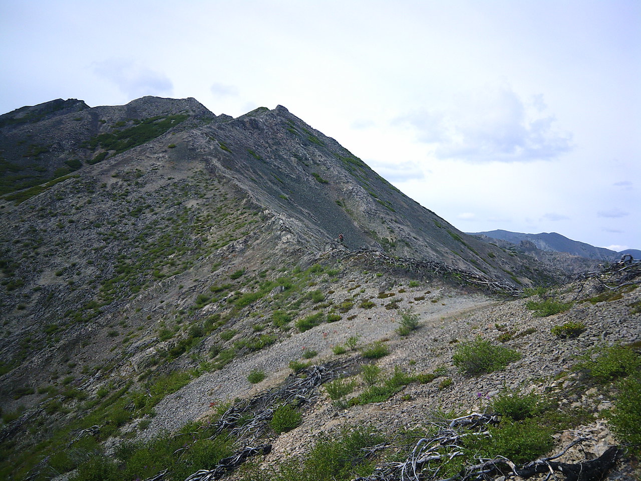 DSCF0026.JPG