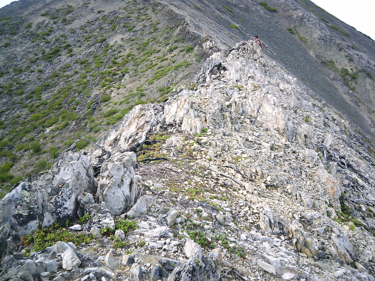 DSCF0028.JPG