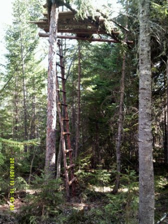 DSCF0030 (2).JPG