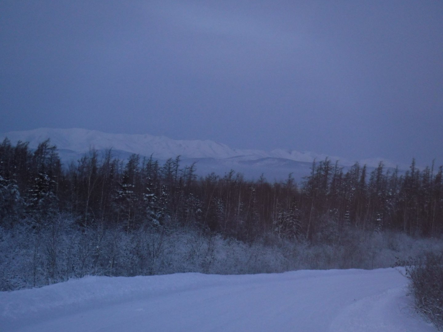 DSCF0039.JPG
