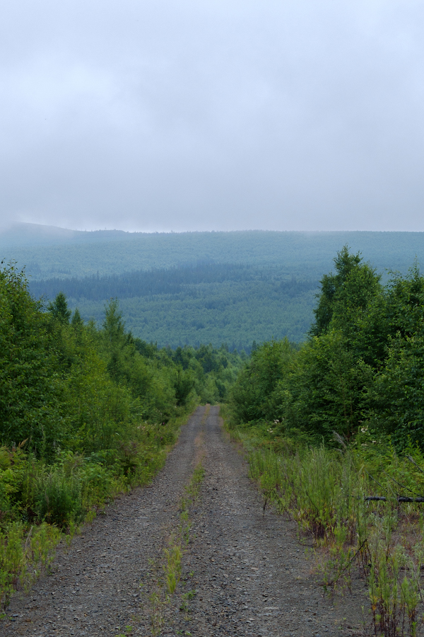 DSCF0056.jpg
