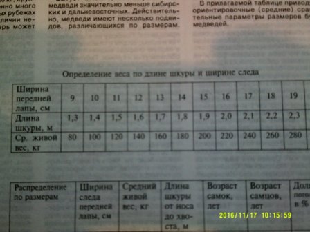 DSCF0061.JPG