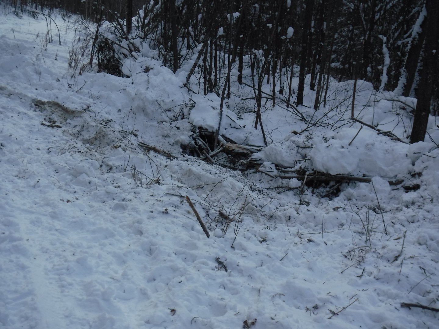 DSCF0066.JPG