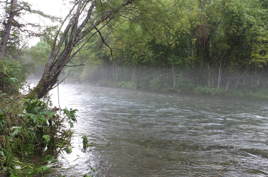 DSCF0078.jpg