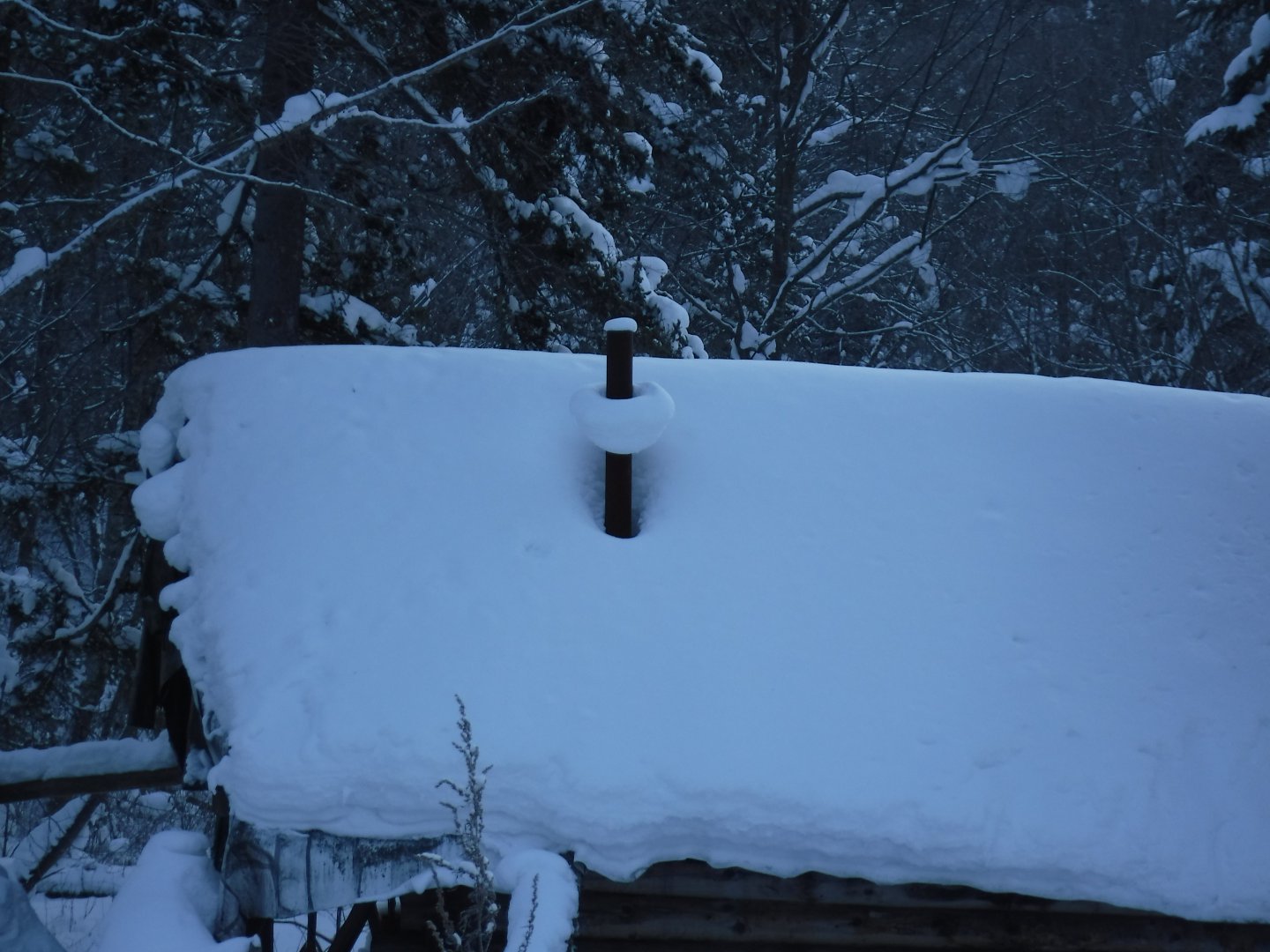 DSCF0090.JPG