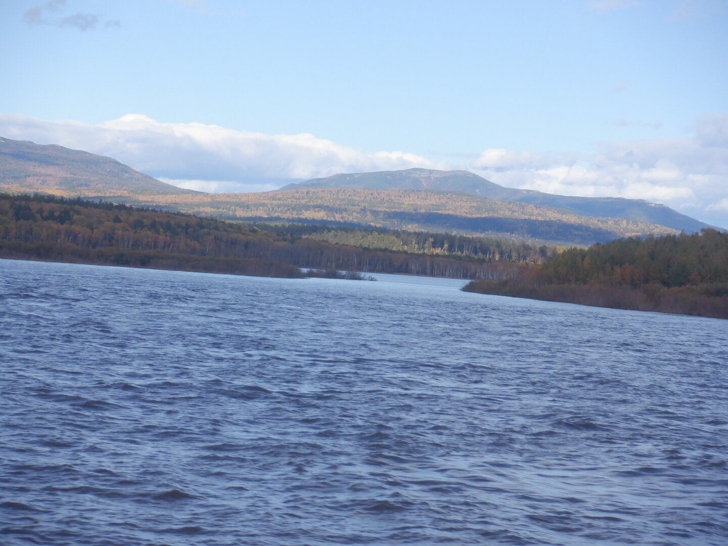 DSCF0101.JPG