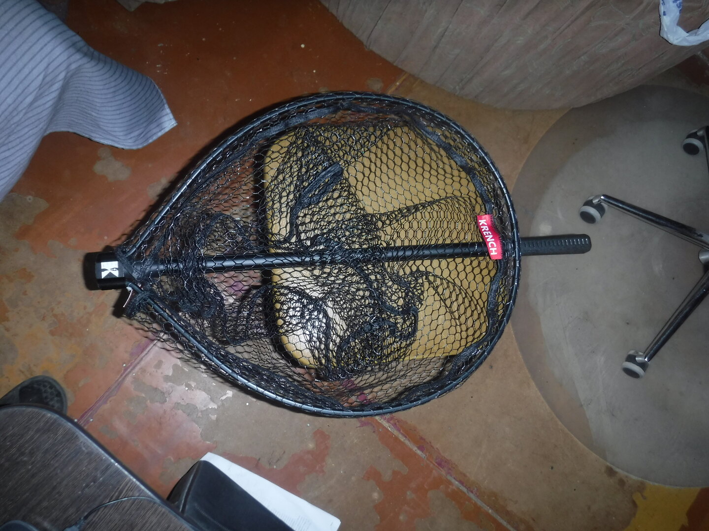 DSCF0105.JPG
