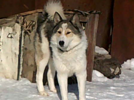 DSCF0115.JPG