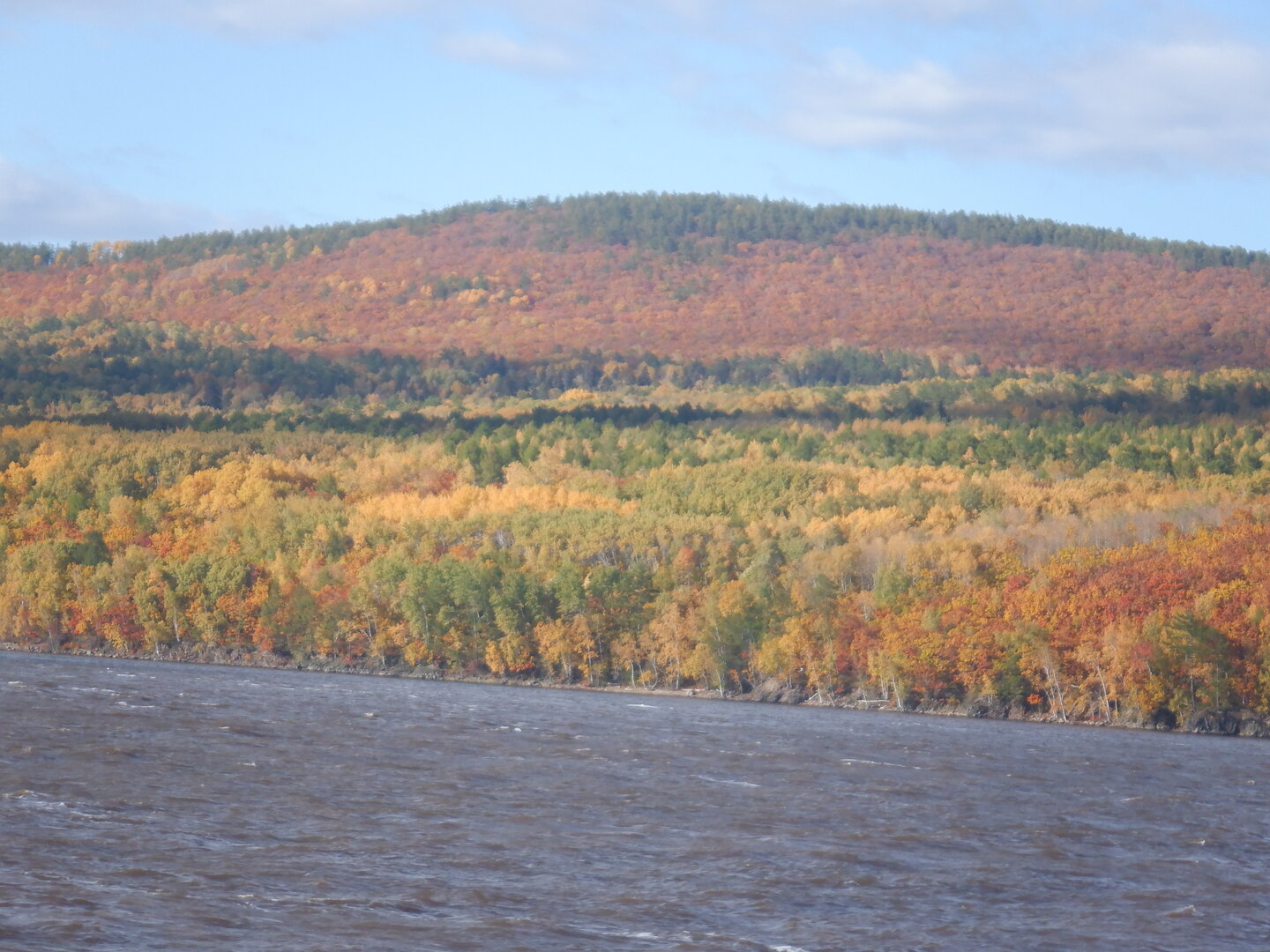 DSCF0116.JPG