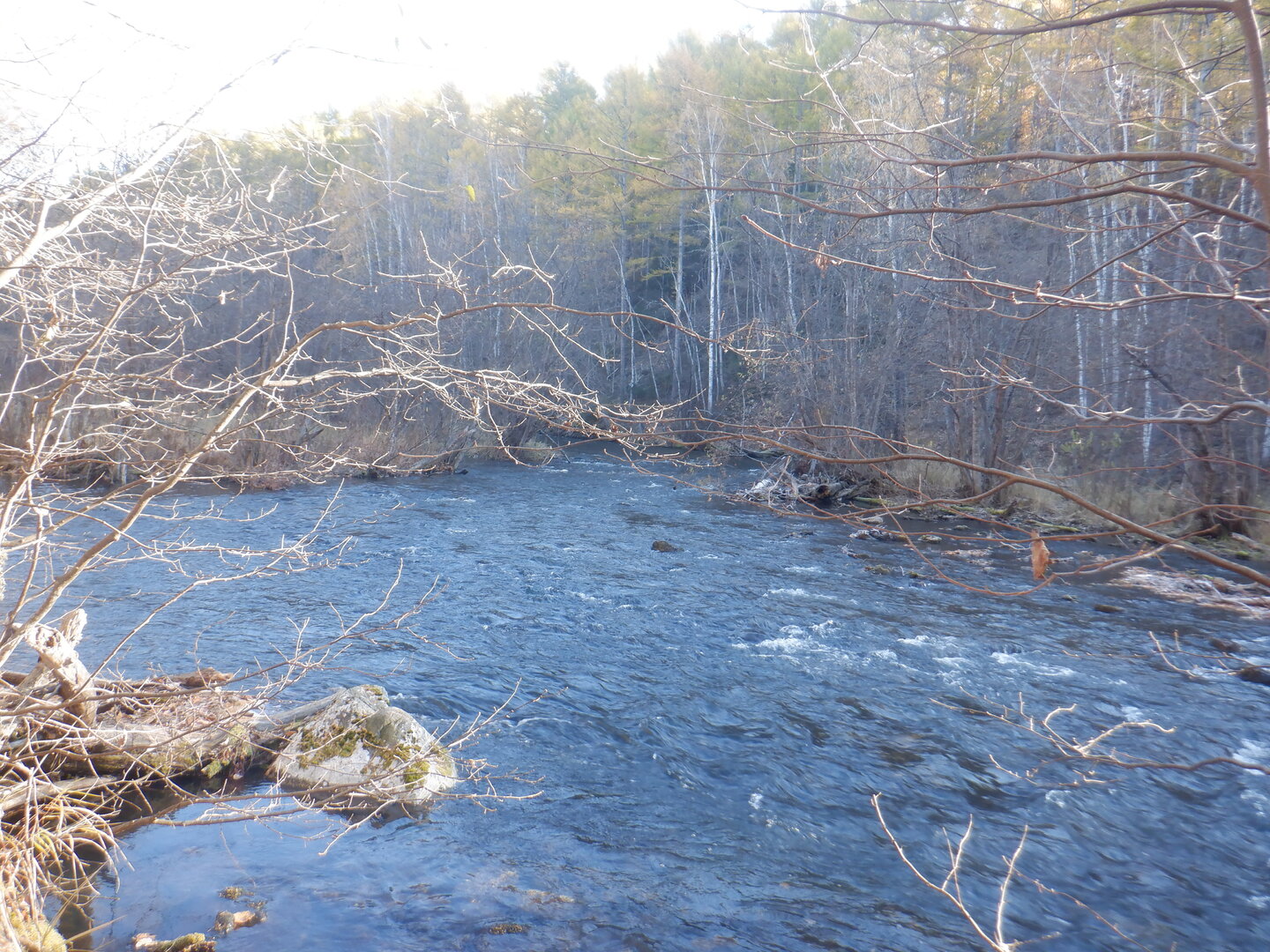 DSCF0131.JPG