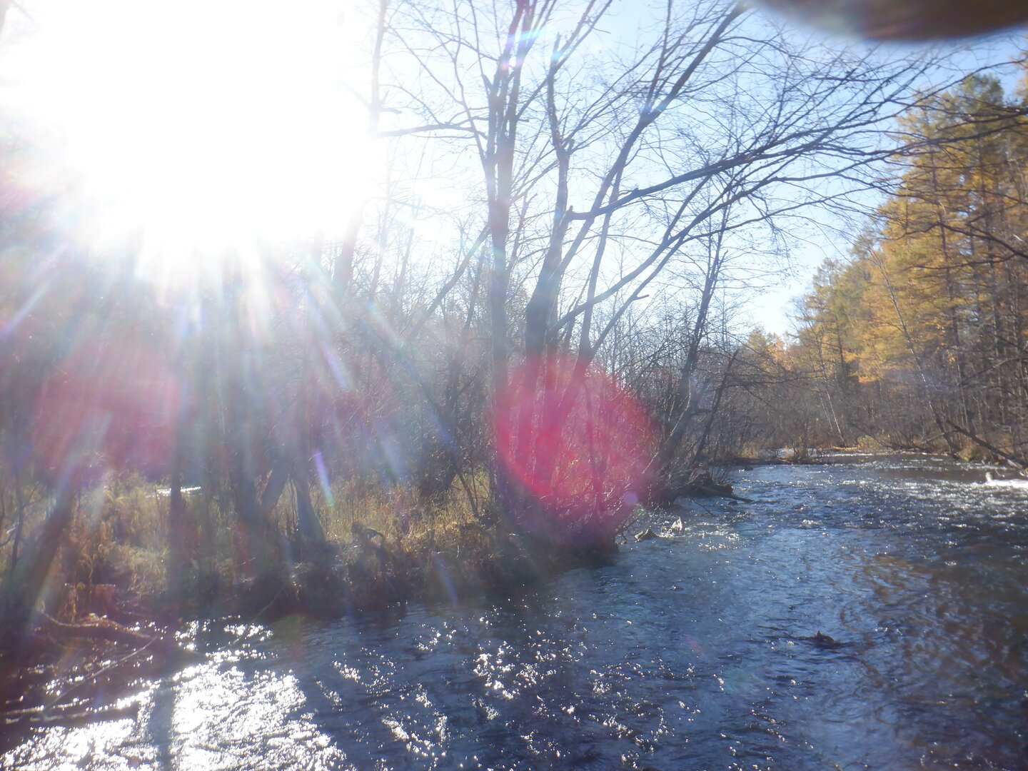 DSCF0132.JPG
