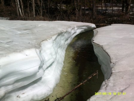 DSCF0133.JPG