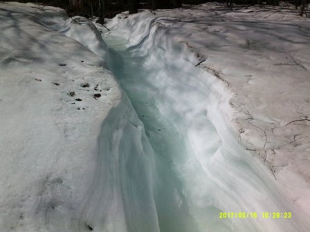 DSCF0134.JPG