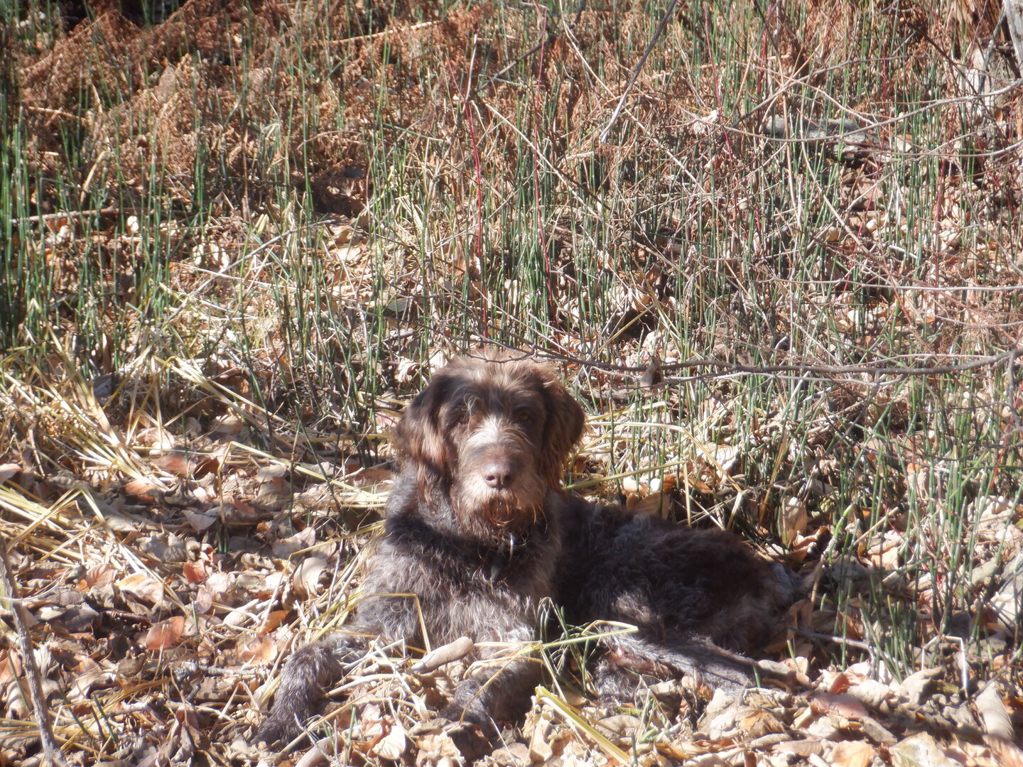 DSCF0134.JPG
