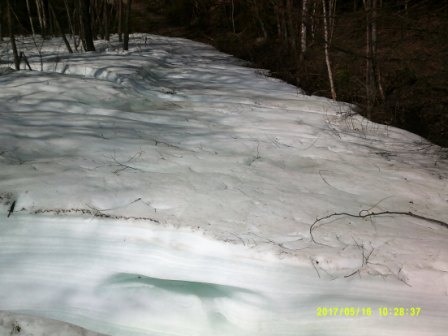 DSCF0135.JPG