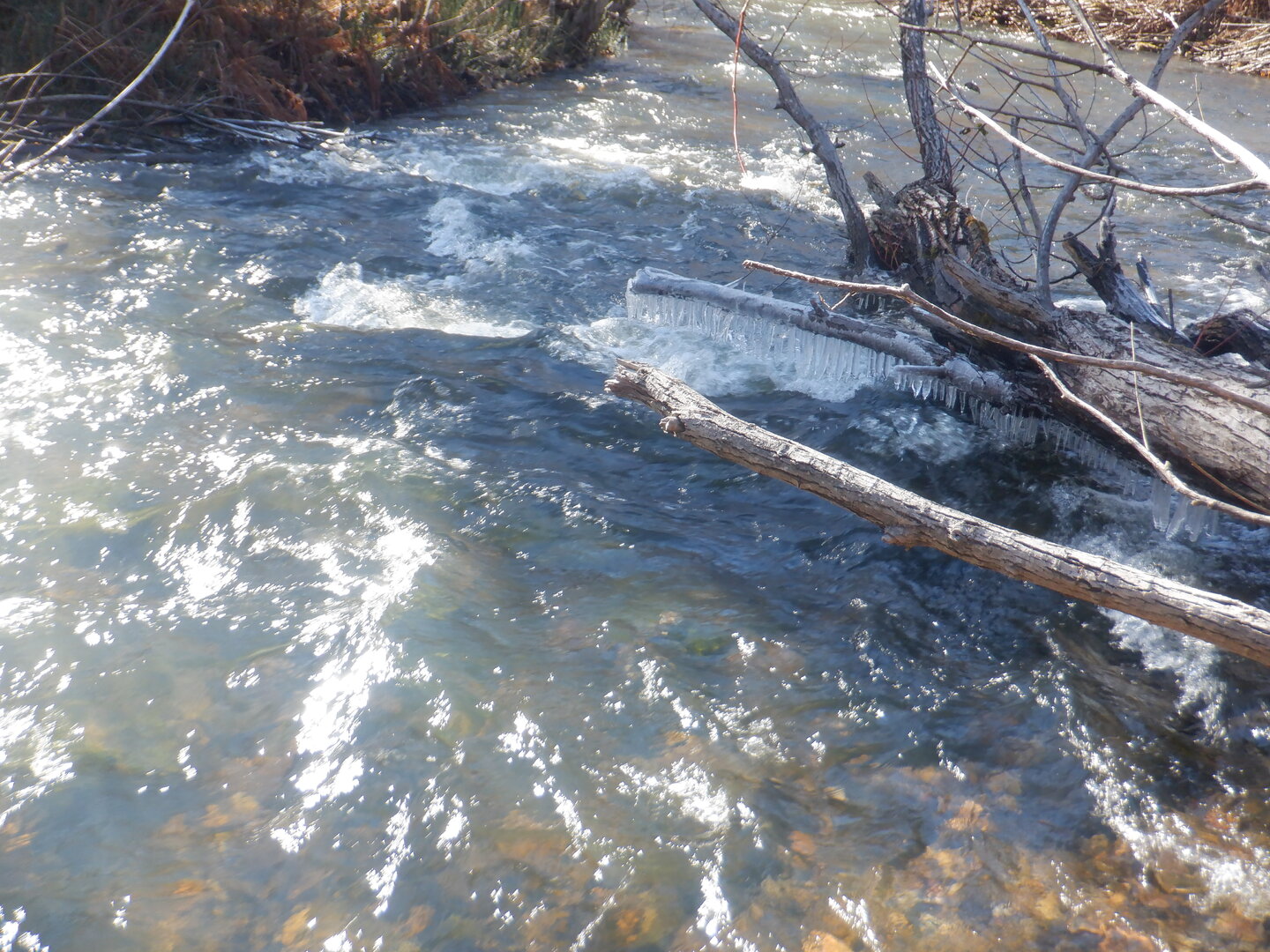 DSCF0136.JPG