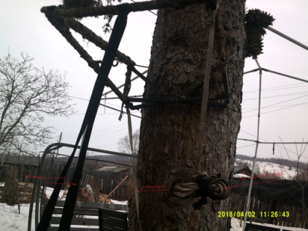 DSCF0137.JPG