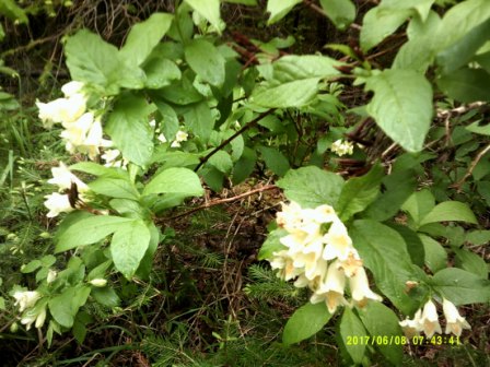 DSCF0154.JPG