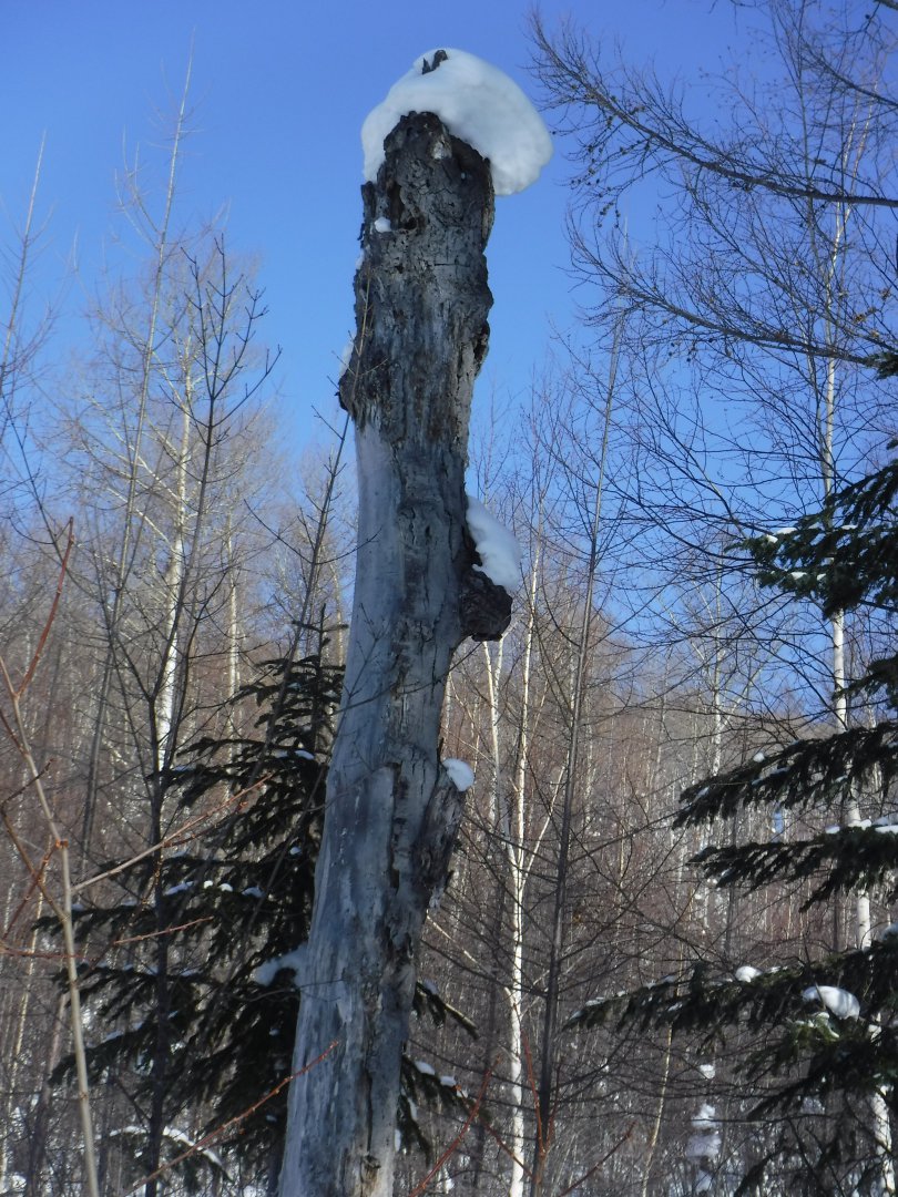 DSCF0160.JPG