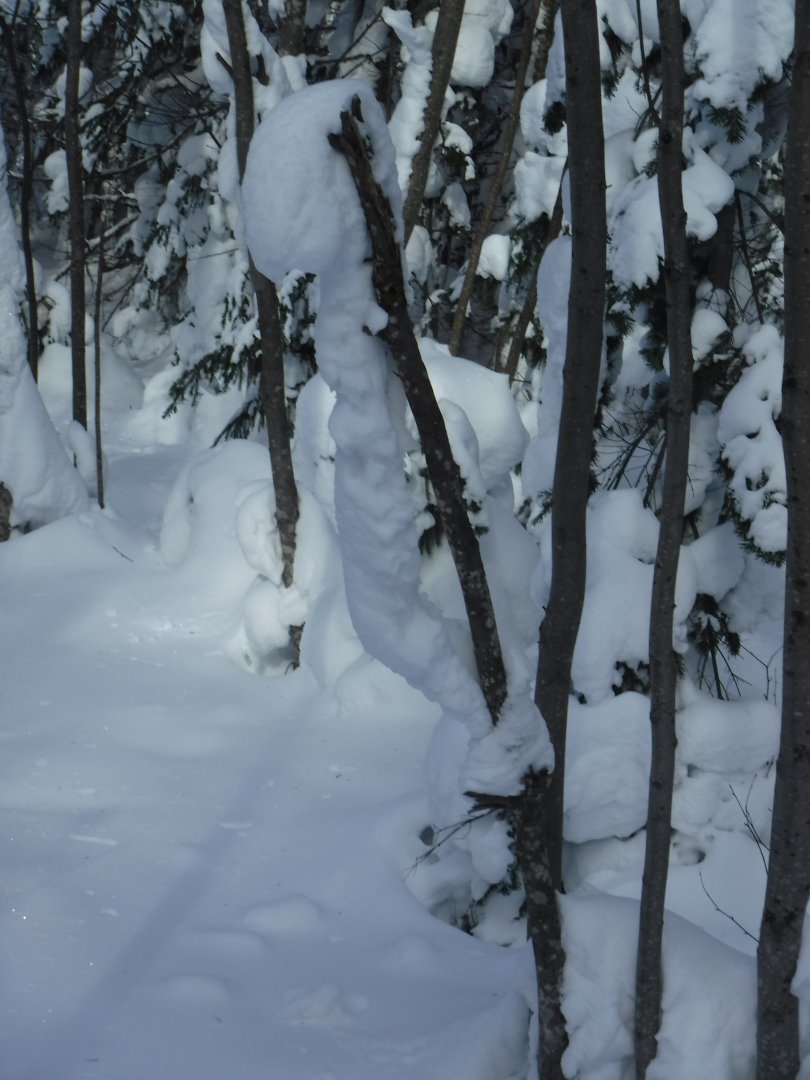 DSCF0176.JPG