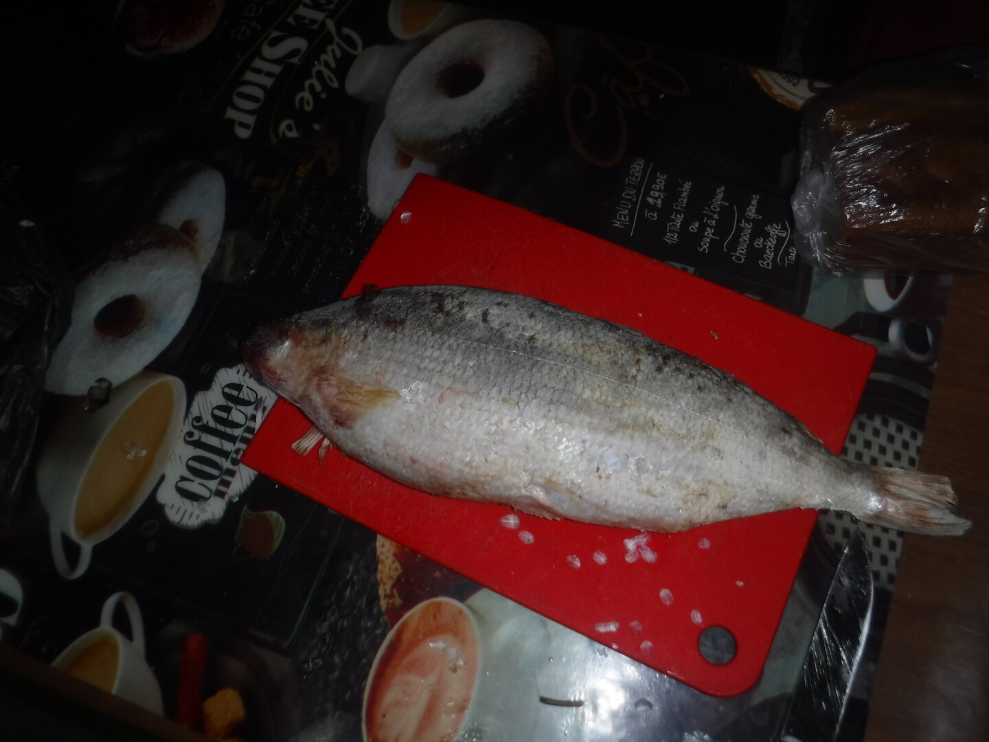 DSCF0183.JPG