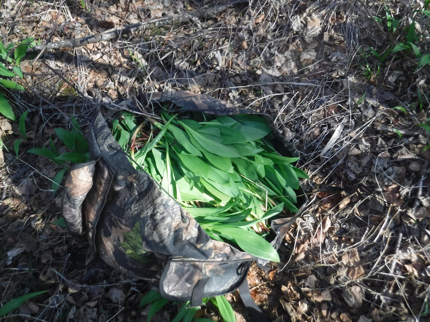 DSCF0314.JPG