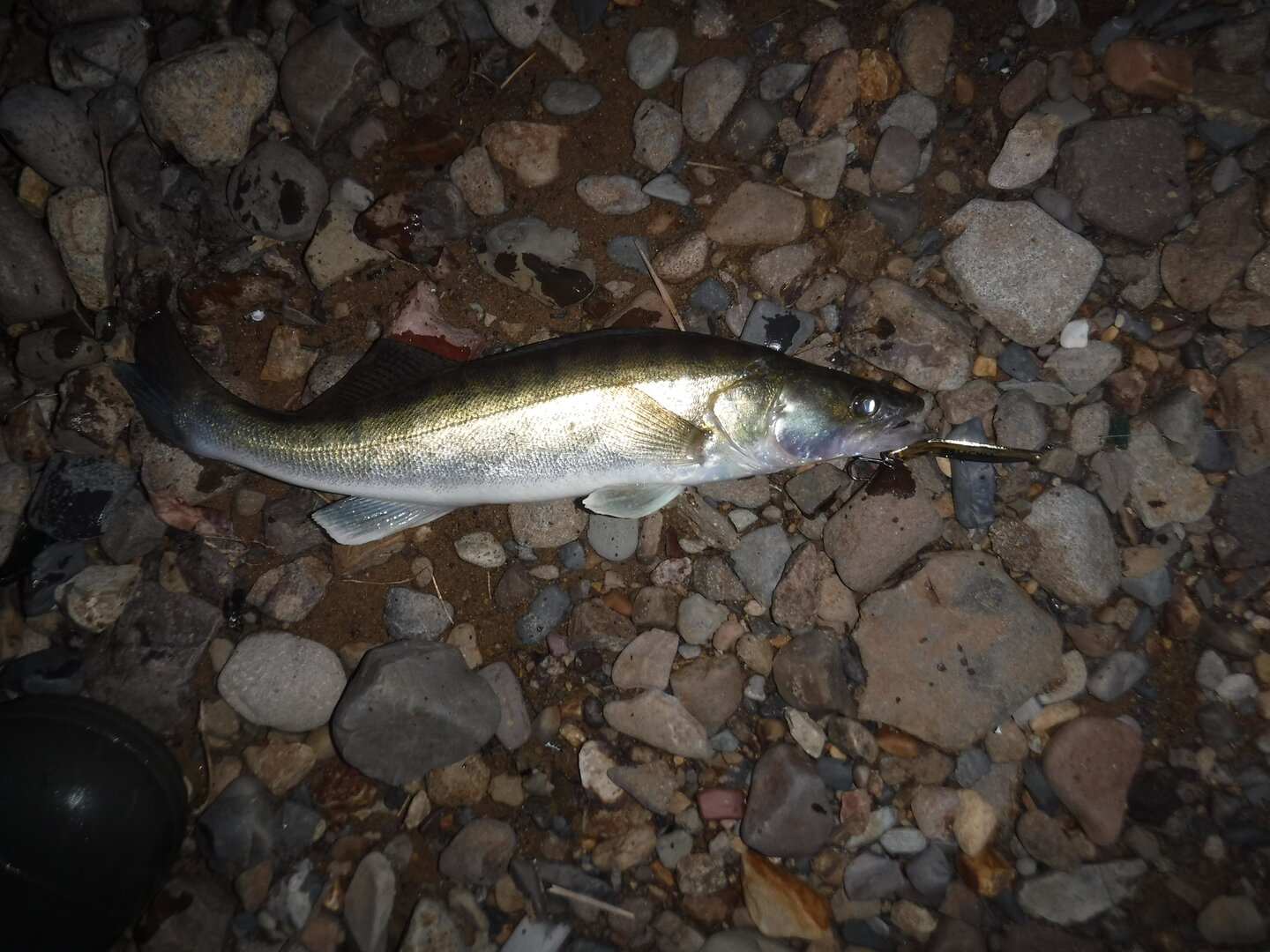 DSCF0317.JPG