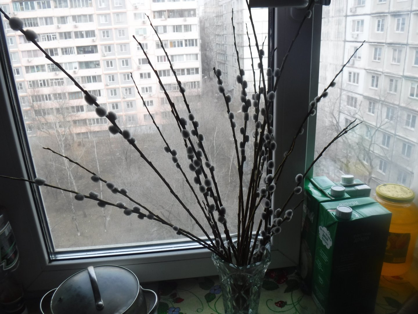 DSCF0324.JPG
