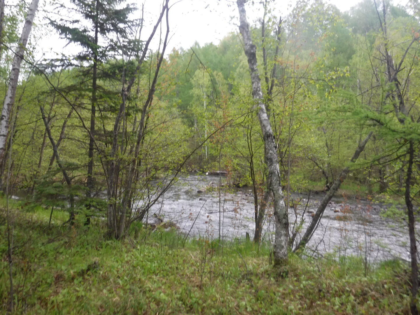 DSCF0396.JPG