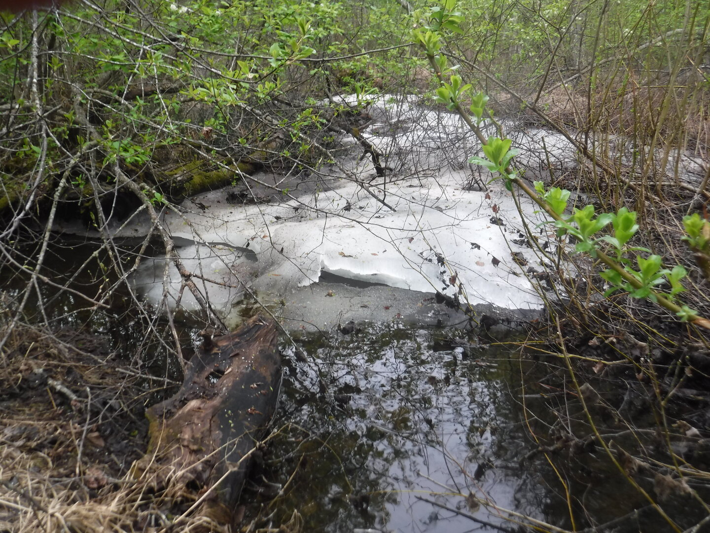 DSCF0407.JPG