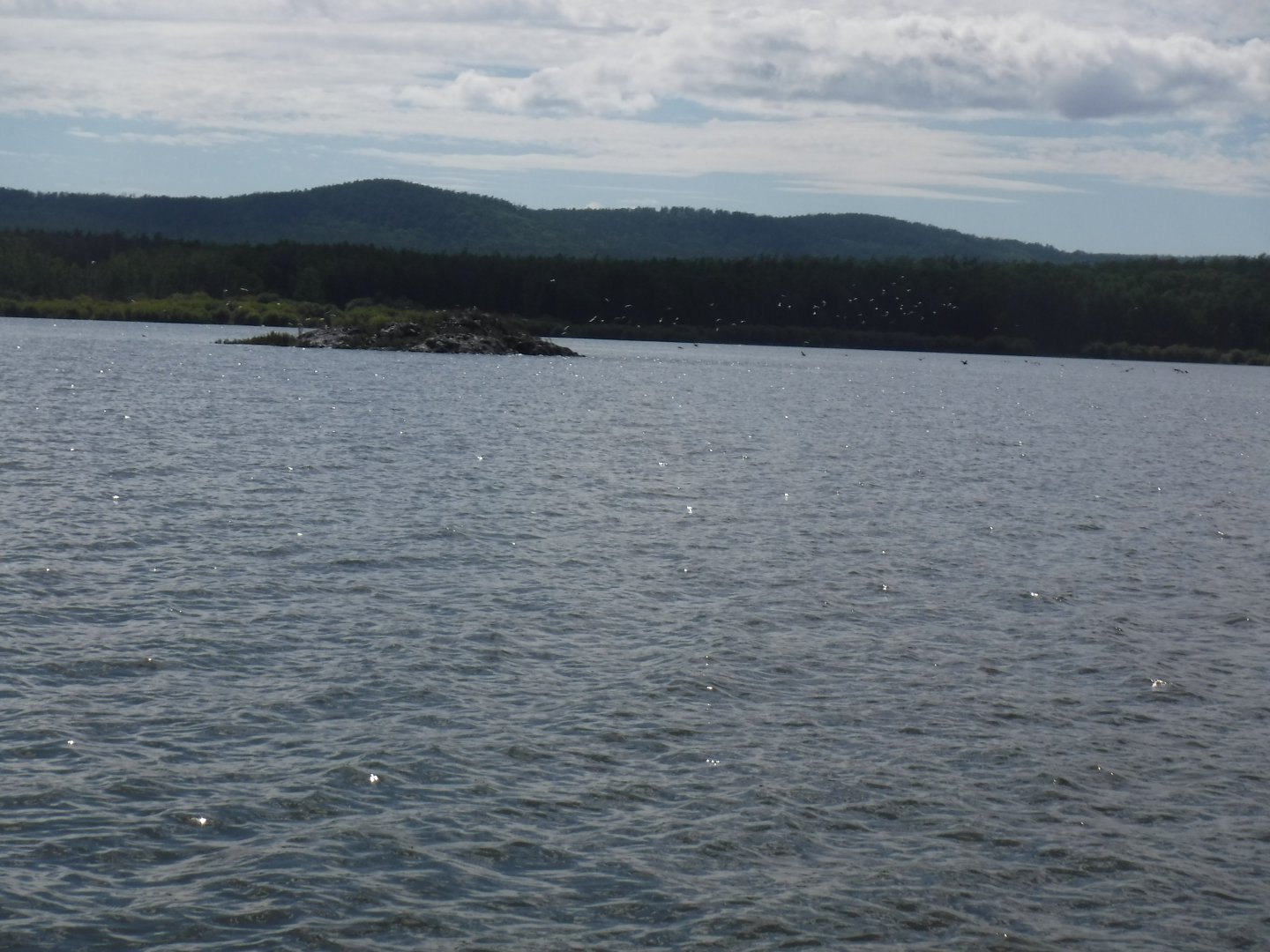 DSCF0450.JPG