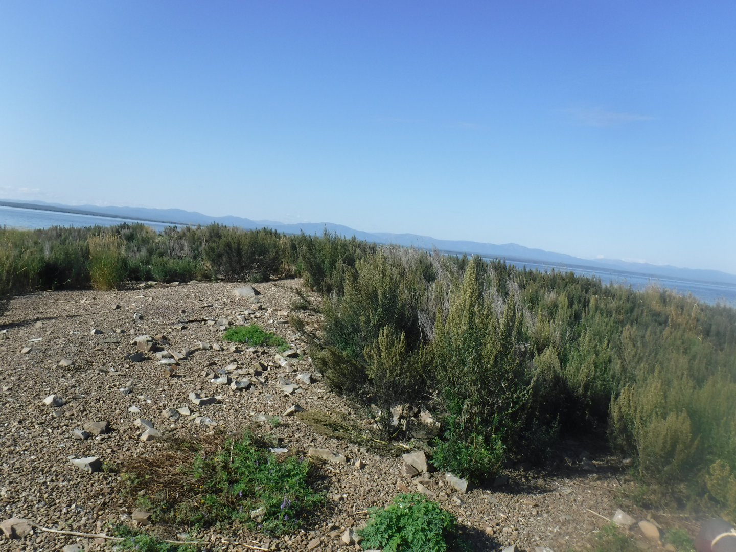DSCF0464.JPG