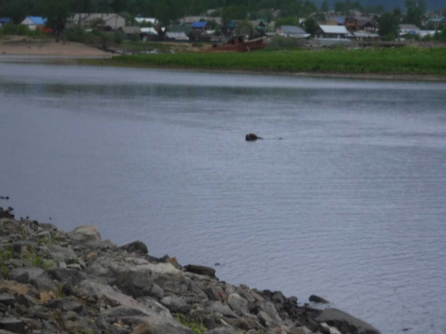 DSCF0472.JPG