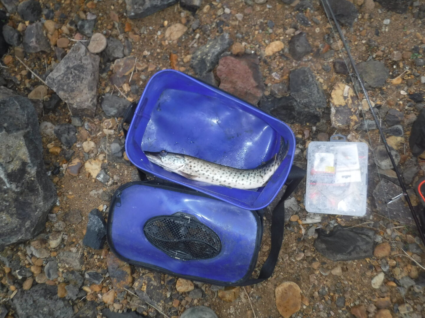 DSCF0473.JPG