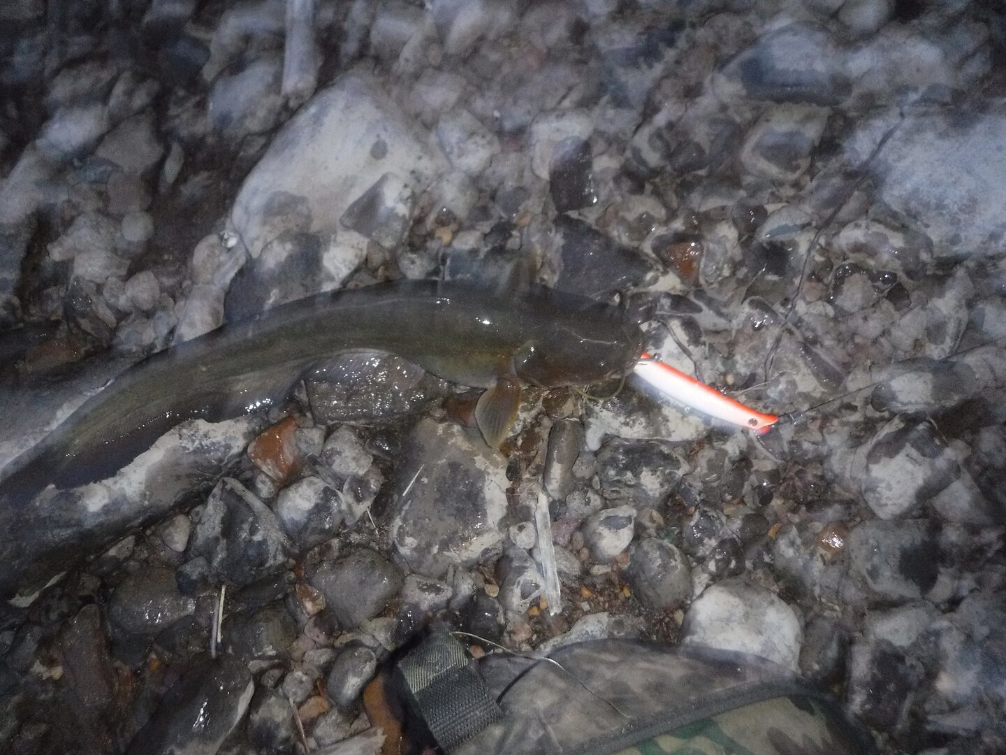 DSCF0499.JPG
