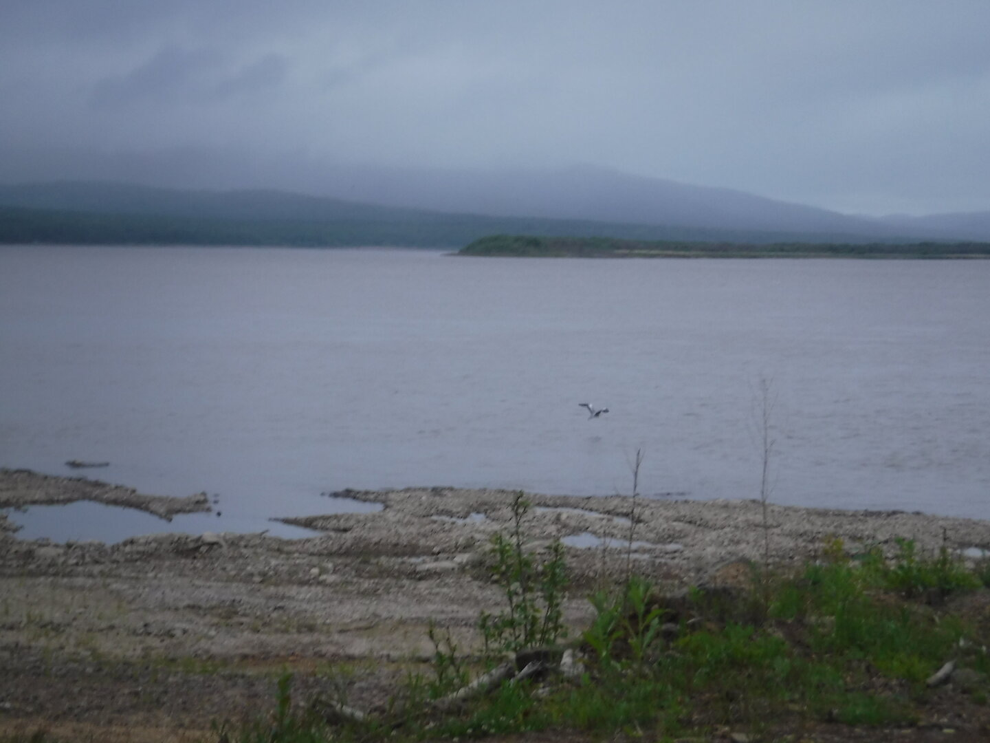 DSCF0501.JPG