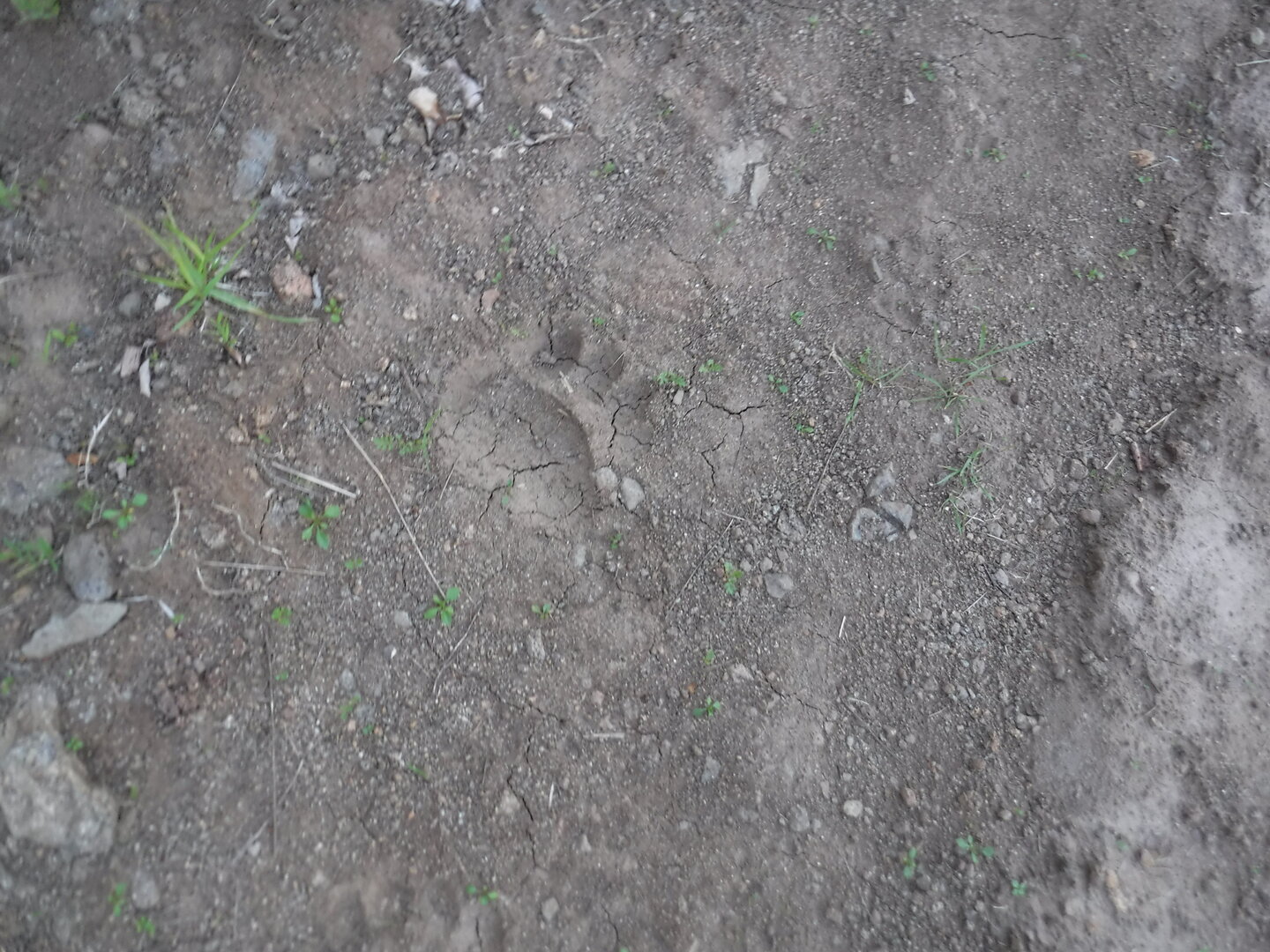 DSCF0528.JPG