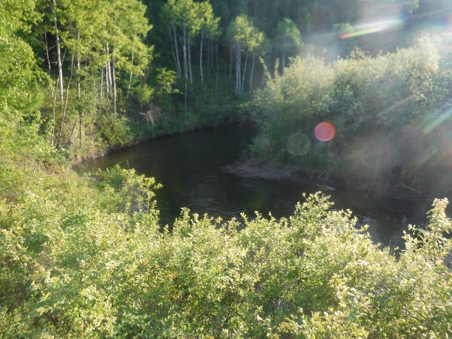 DSCF0533.JPG