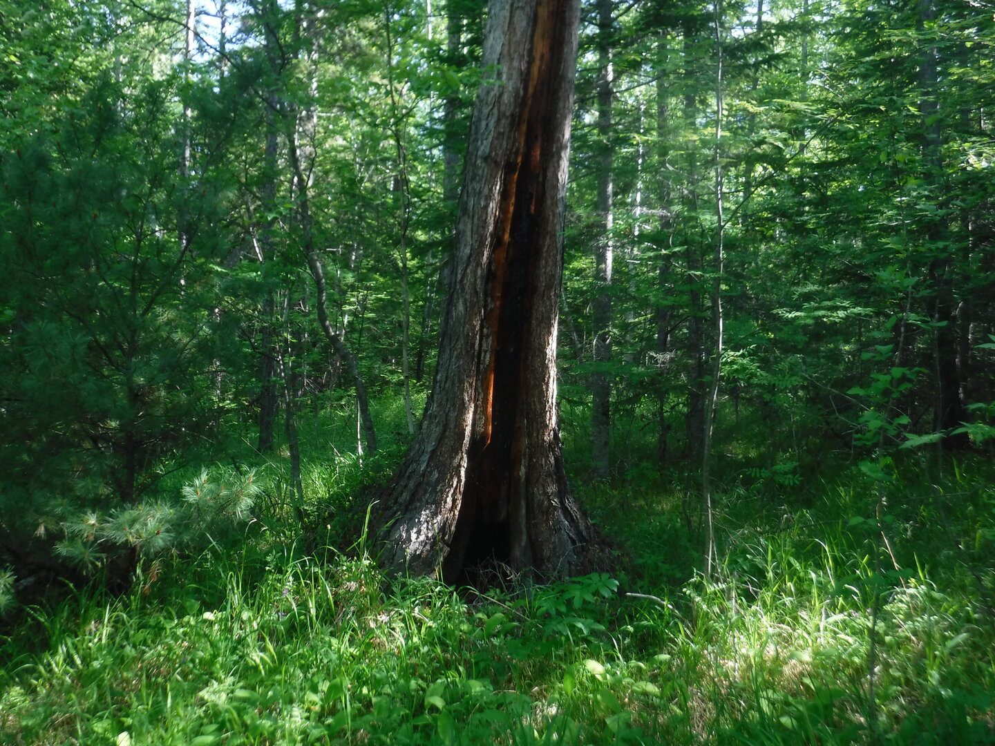 DSCF0539.JPG