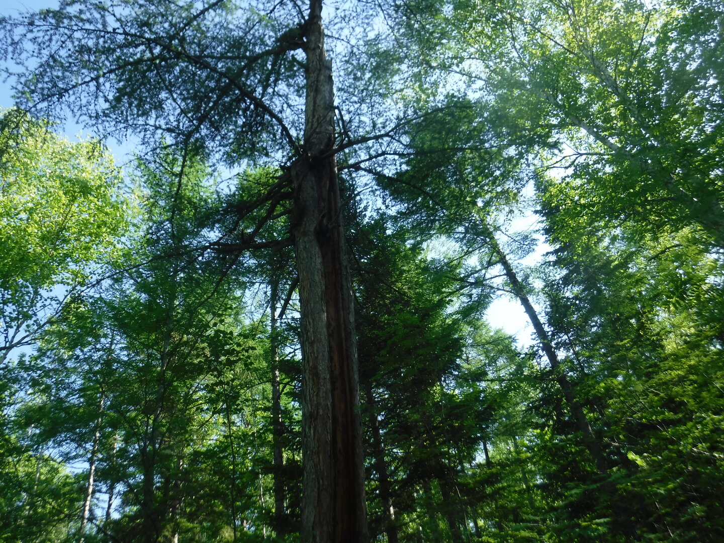 DSCF0541.JPG